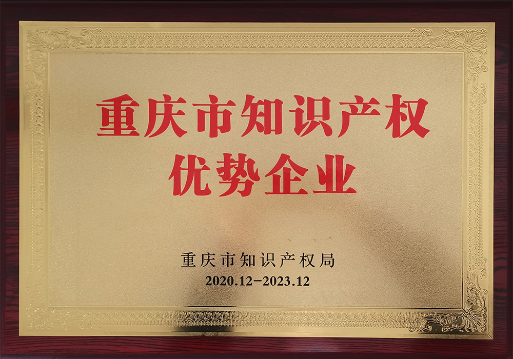 重庆市知识产权优势企业